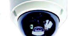 Dome IP Camera