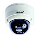 Dome IP Camera's